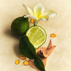 Mini Hair & Body Mist V5